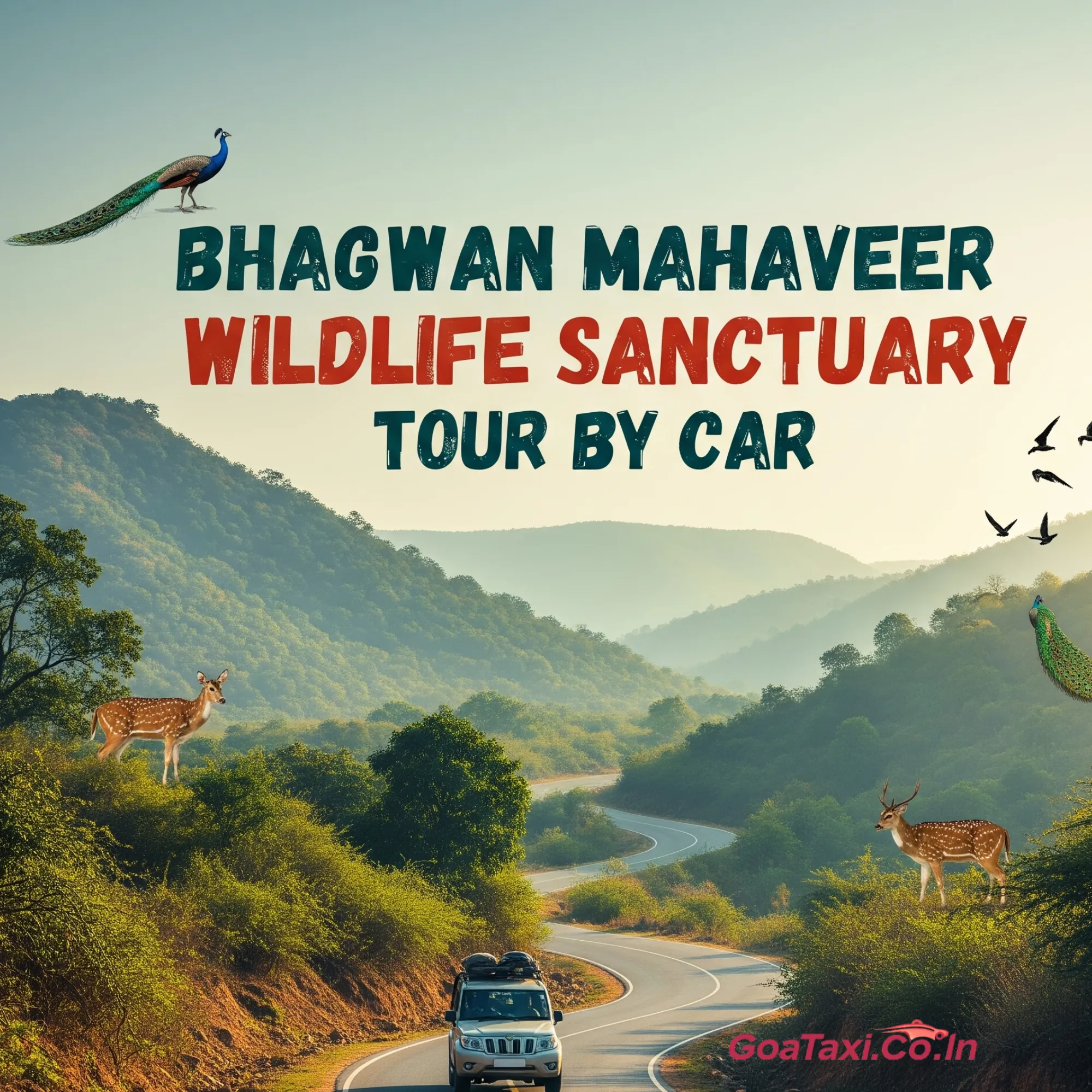 Bhagwan Mahaveer Wildlife Sanctuary Tour